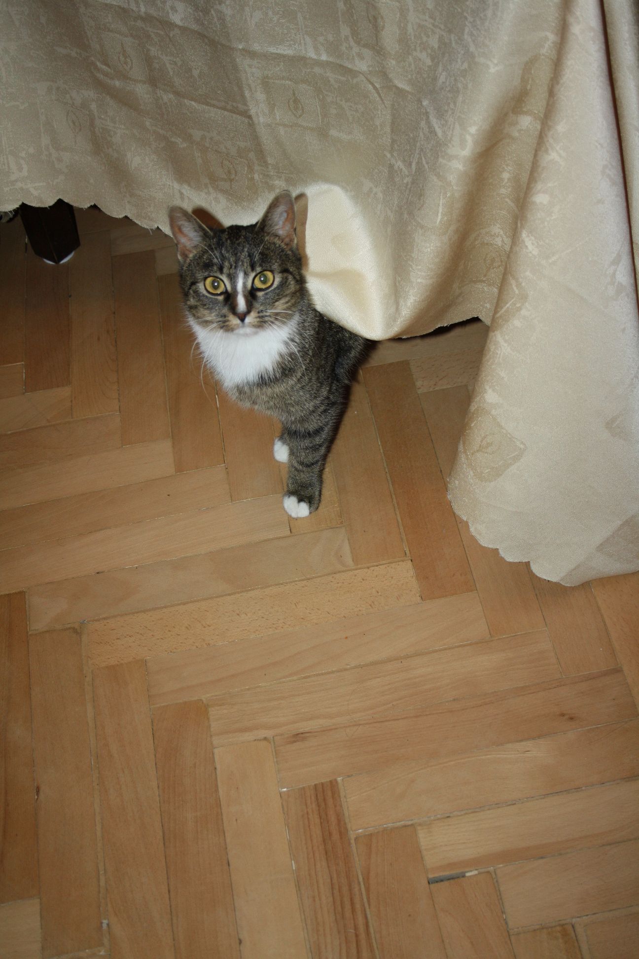 Ubrusová víla