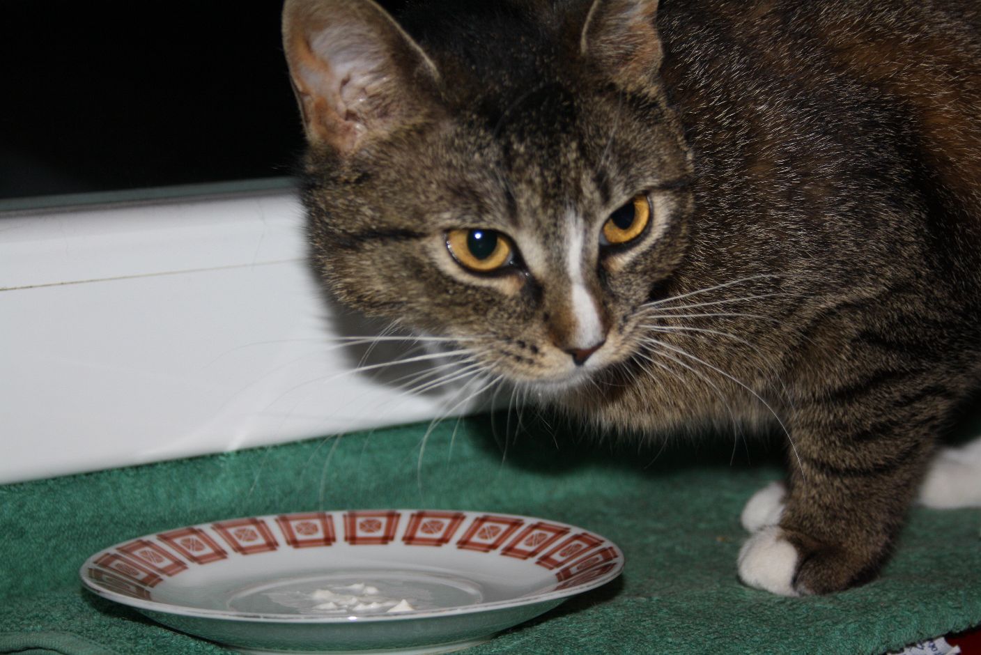 jedině pramen zdraví z Posázaví